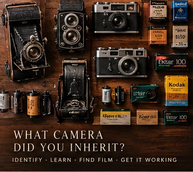 Illustrated vintage camera identification flatlay
